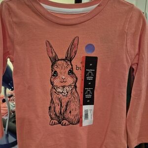 Girl Pink Long Sleeve Cotton Shirt Easter Top SIZE 2T NWT